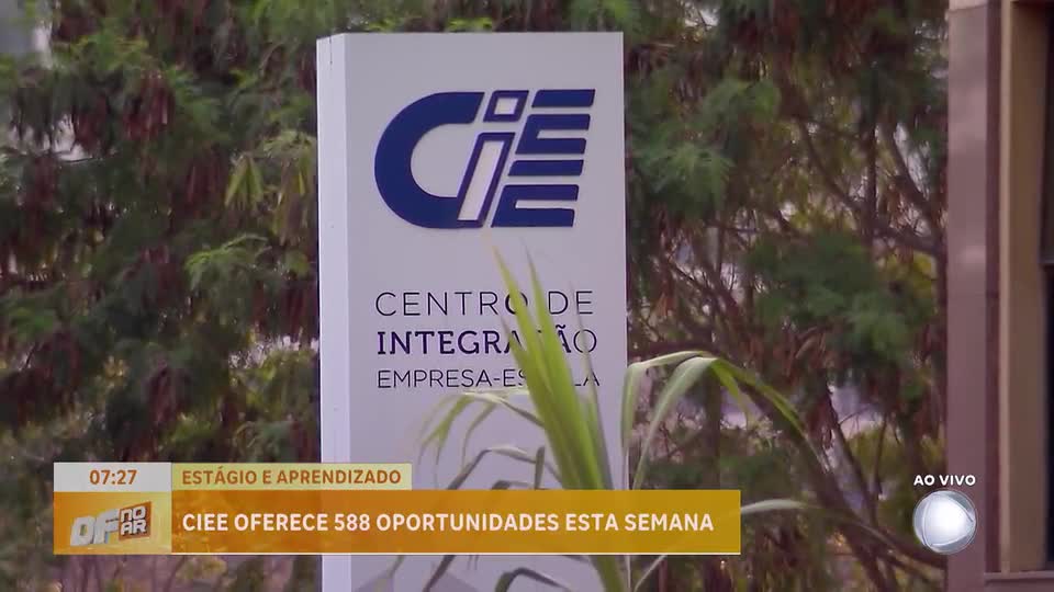 CIEE oferece 588 vagas de estágio e aprendizado