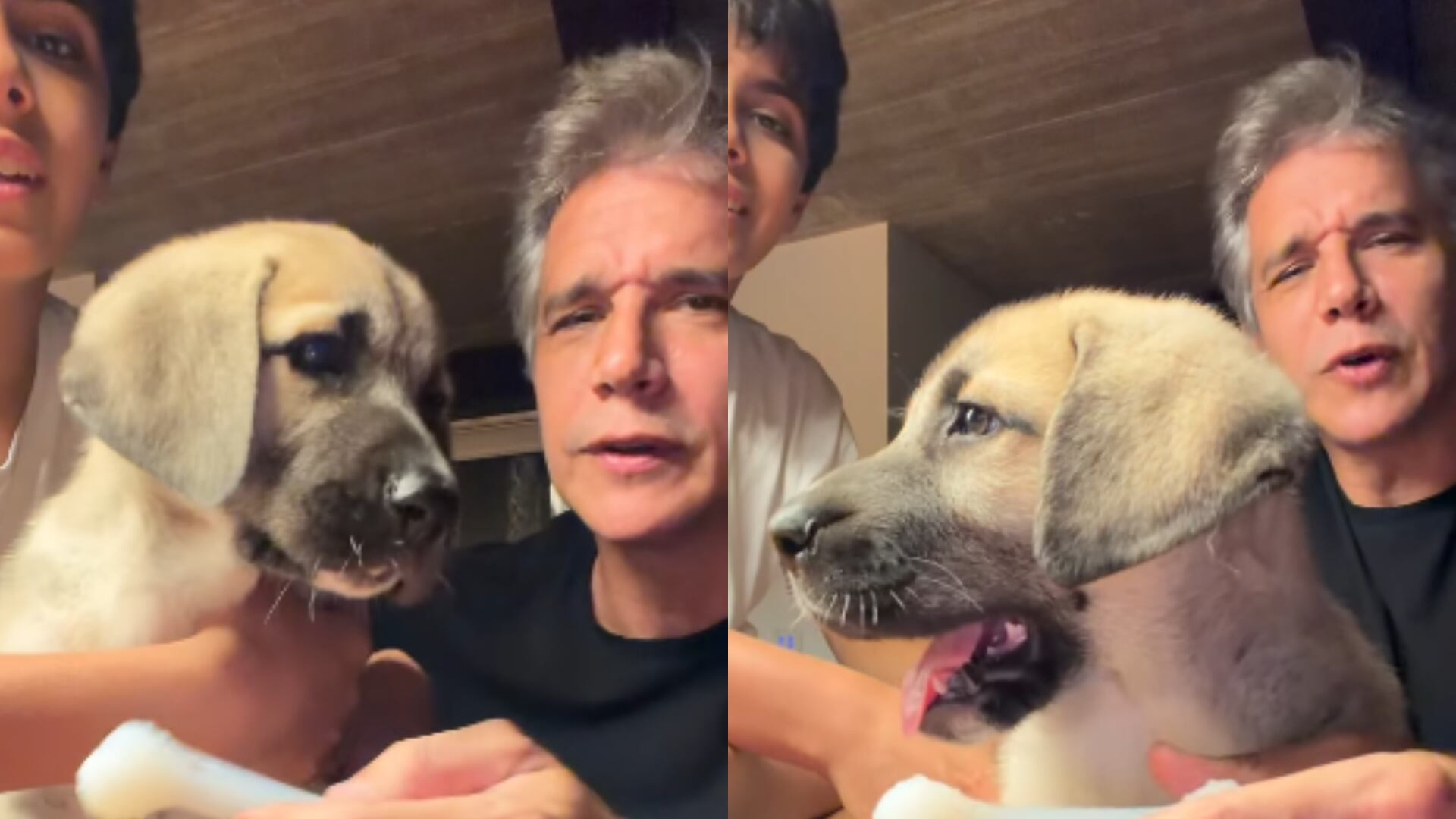 Após perda, Márcio Garcia apresenta novo 'filhotão' da família