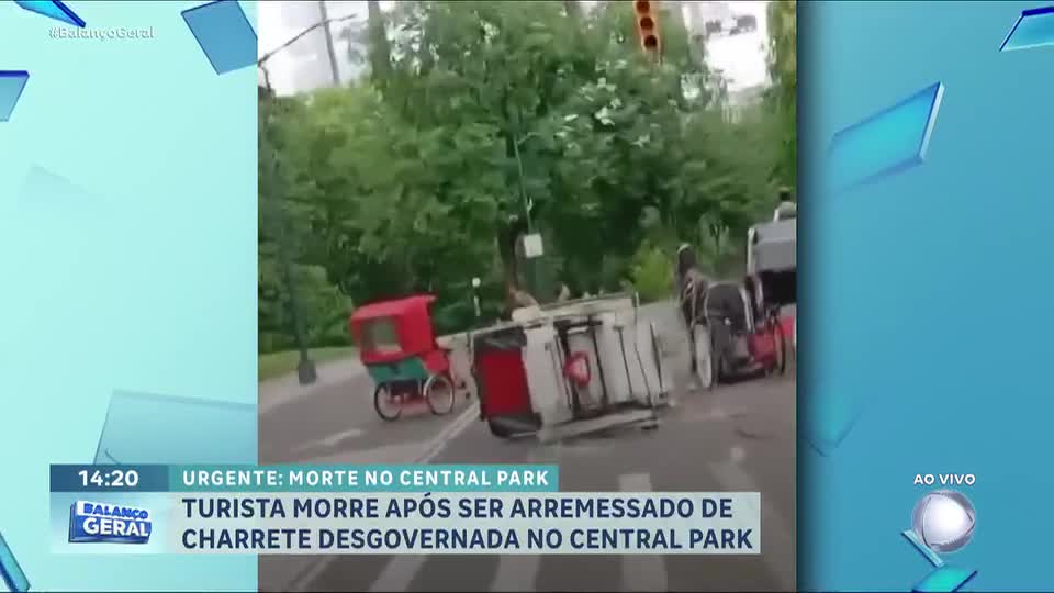 Turista morre em acidente de charrete no Central Park