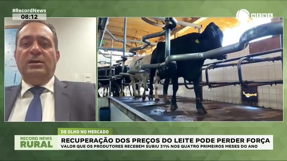 Recuperação dos preços do leite pode perder força