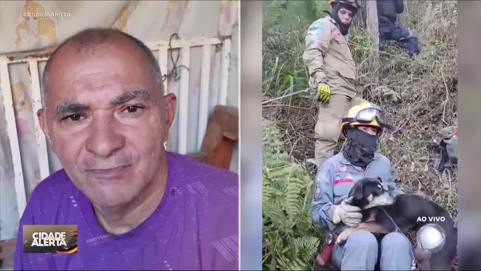 SP: idoso que desapareceu durante passeio com cachorrinha é encontrado morto em trilha