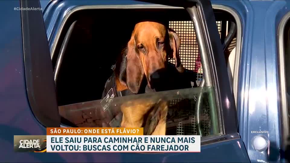 Desaparecimento de homem mobiliza buscas com cão farejador no interior de SP