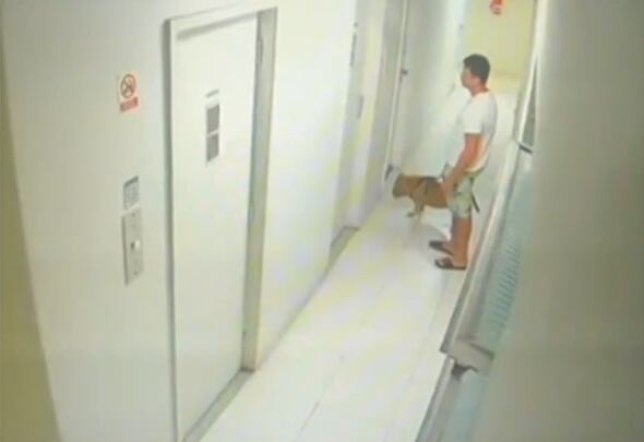 Polícia investiga homem suspeito de afogar o próprio cachorro em Copacabana, zona sul do Rio