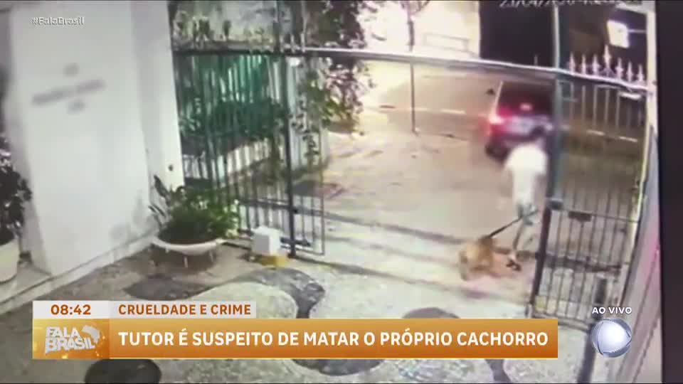Tutor é acusado de afogar o próprio cachorro na praia de Copacabana (RJ)