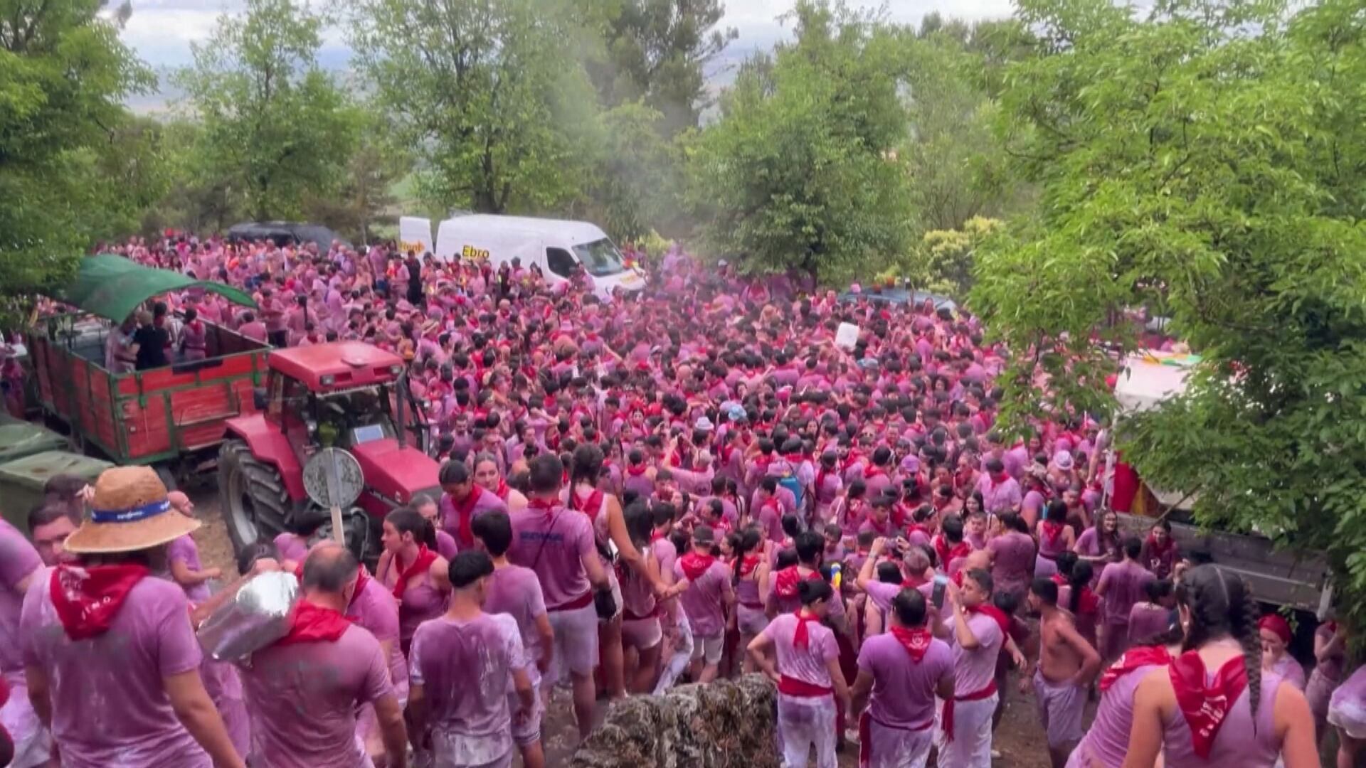 Tradicional batalha do vinho acontece na Espanha