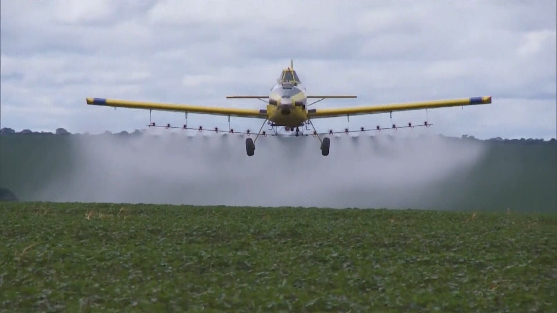 Governo analisa usar aviões particulares de propriedades rurais para combater incêndios florestais