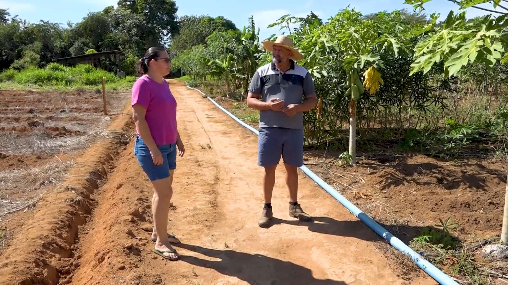 Engenheiro agrônomo faz sucesso nas redes ao compartilhar dicas para a melhora de produtividade
