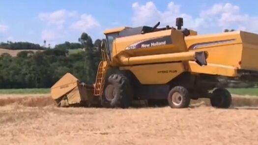 Especialista comenta debate entre governo e agronegócio sobre dívidas
