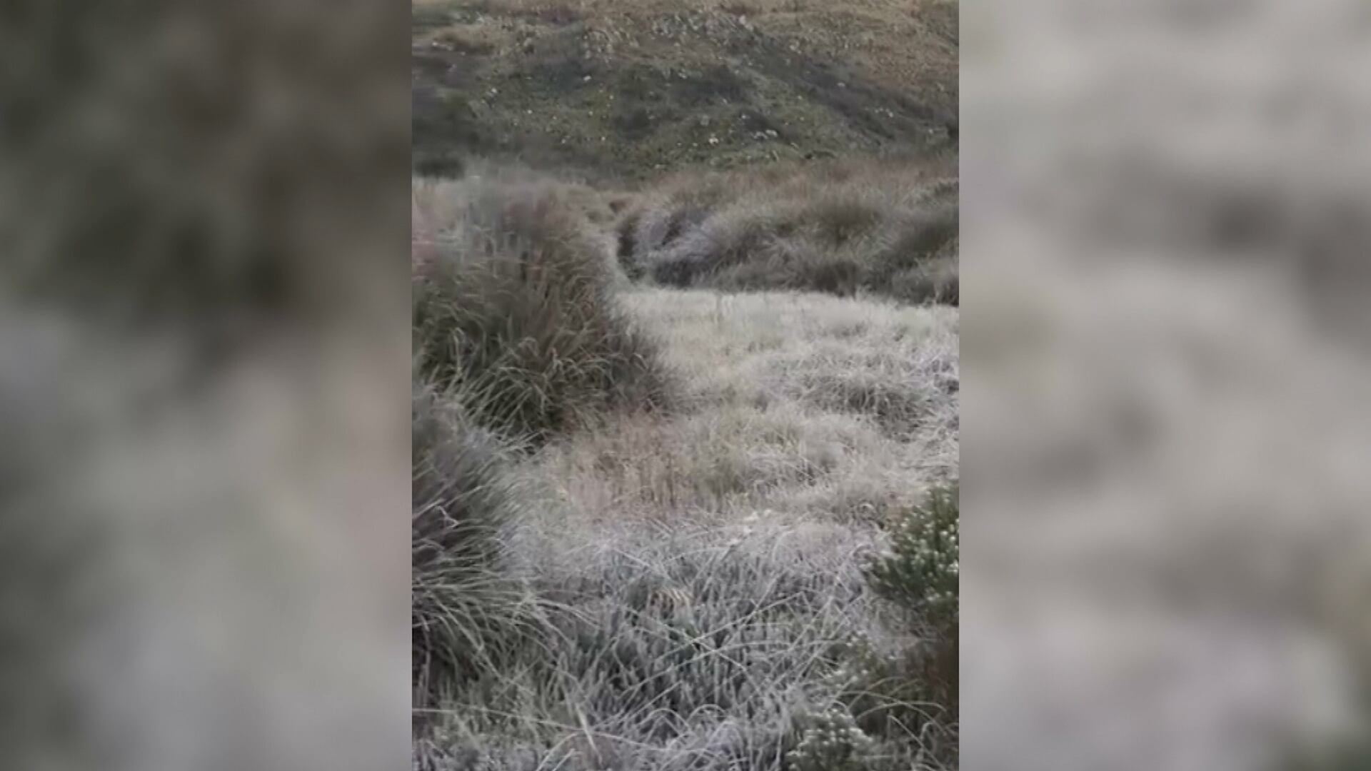 Parque Nacional de Itatiaia registra a menor temperatura do ano