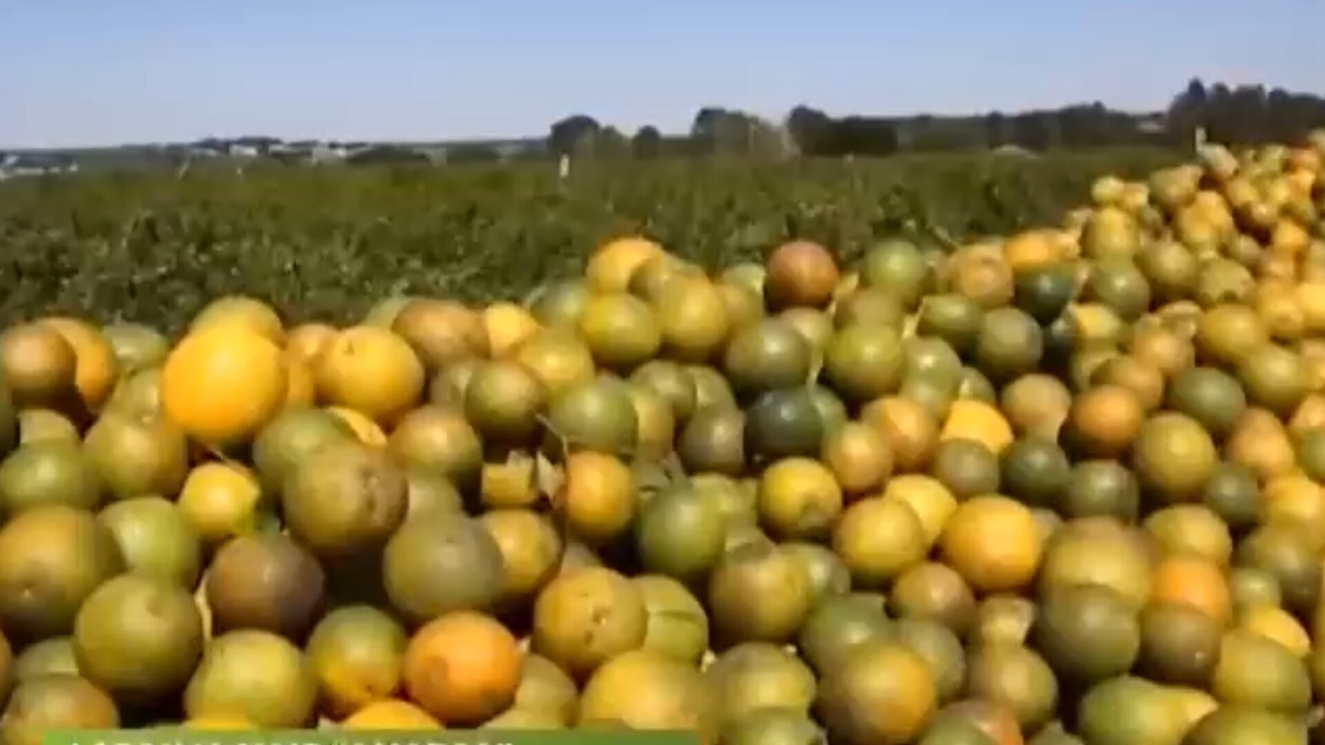 Americanos já sentem no bolso os efeitos da tarifa sobre produtos brasileiros