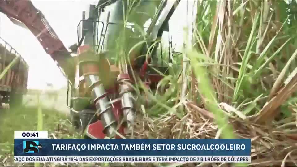 Tarifaço dos EUA preocupa setor sucroalcooleiro brasileiro