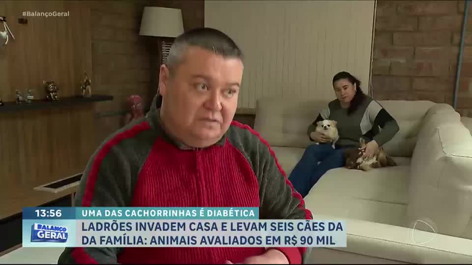 Ladrões invadem casa e roubam seis cachorros, um deles diabético