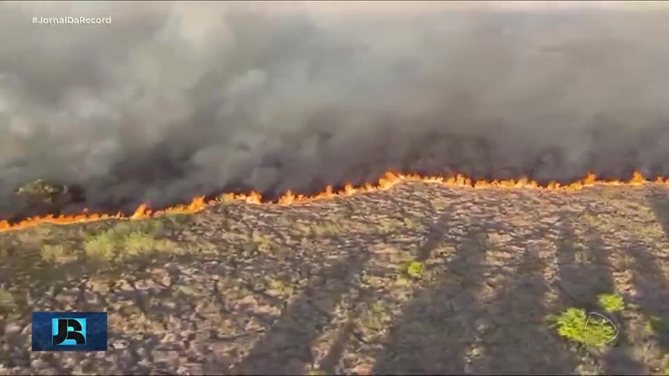 Focos de incêndio reduzem em quase 100% no Pantanal de acordo com dados do INPE