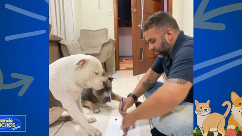 Assista ao 'Soltando os Bichos' deste domingo (19) na íntegra