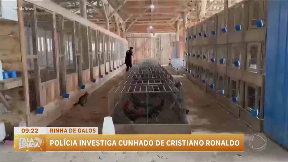 Cunhado de Cristiano Ronaldo é alvo de operação contra rinha de galos no RS