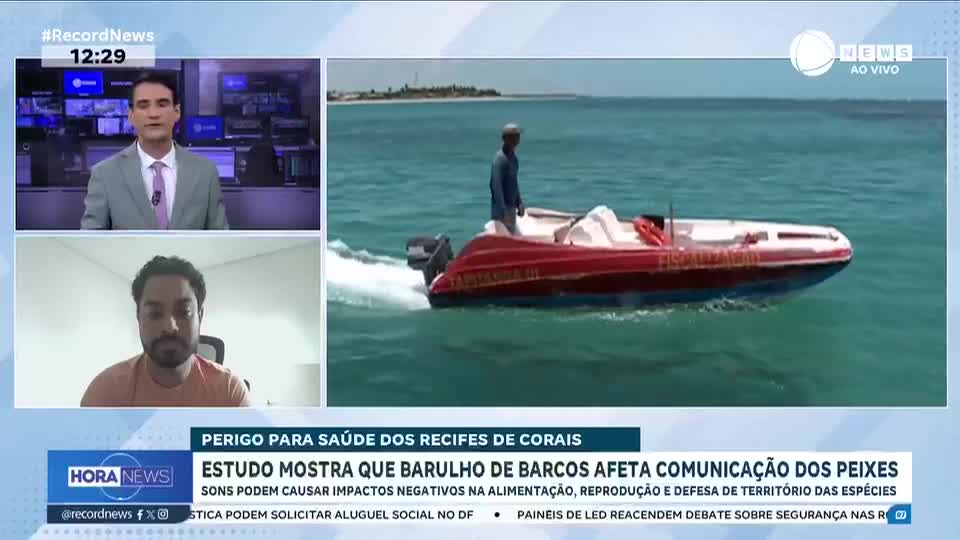 Estudo mostra que barulho de barcos afeta comunicação dos peixes