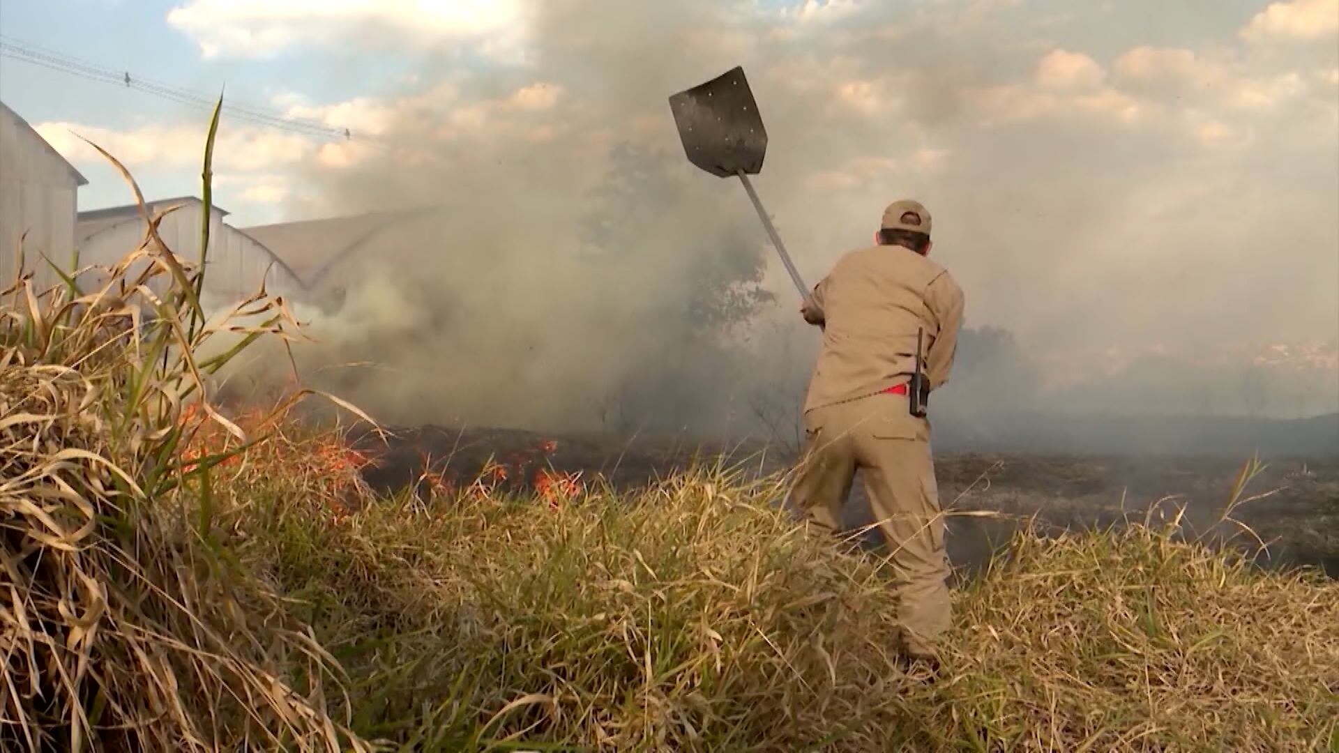 Brasil tem redução de 31% na área de vegetação queimada no país em relação à média histórica
