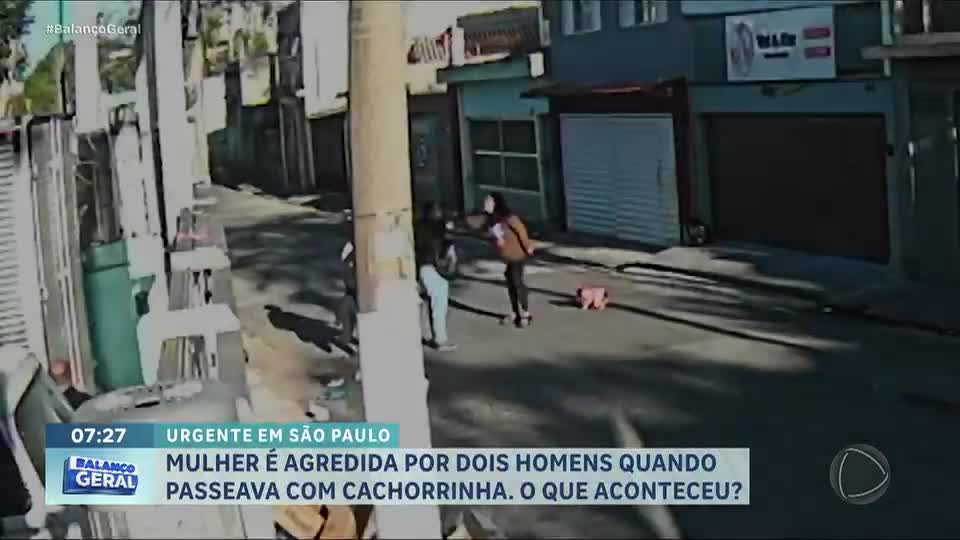 Mulher é agredida por dois homens enquanto passeava com cachorrinha