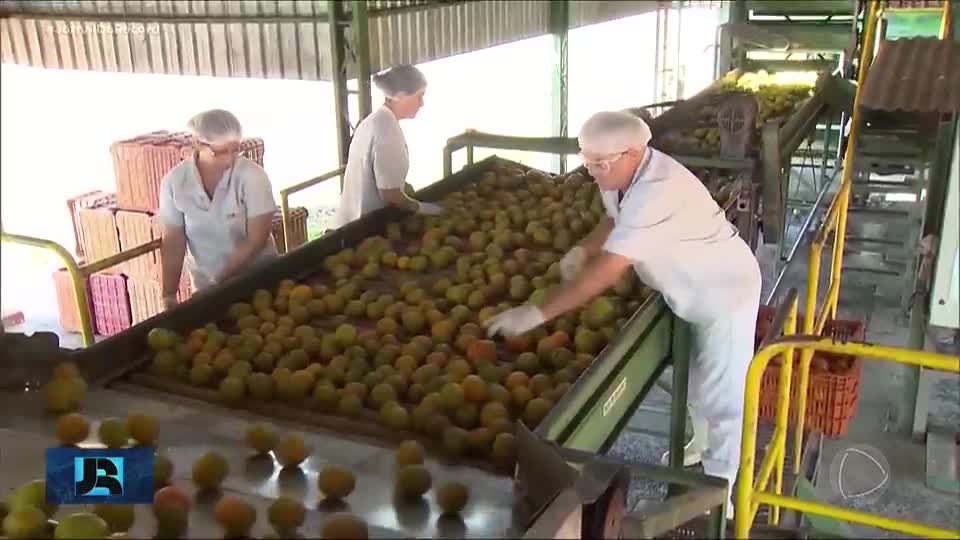 Tarifaço de Trump: empresários se preocupam com o destino dos alimentos exportados aos EUA