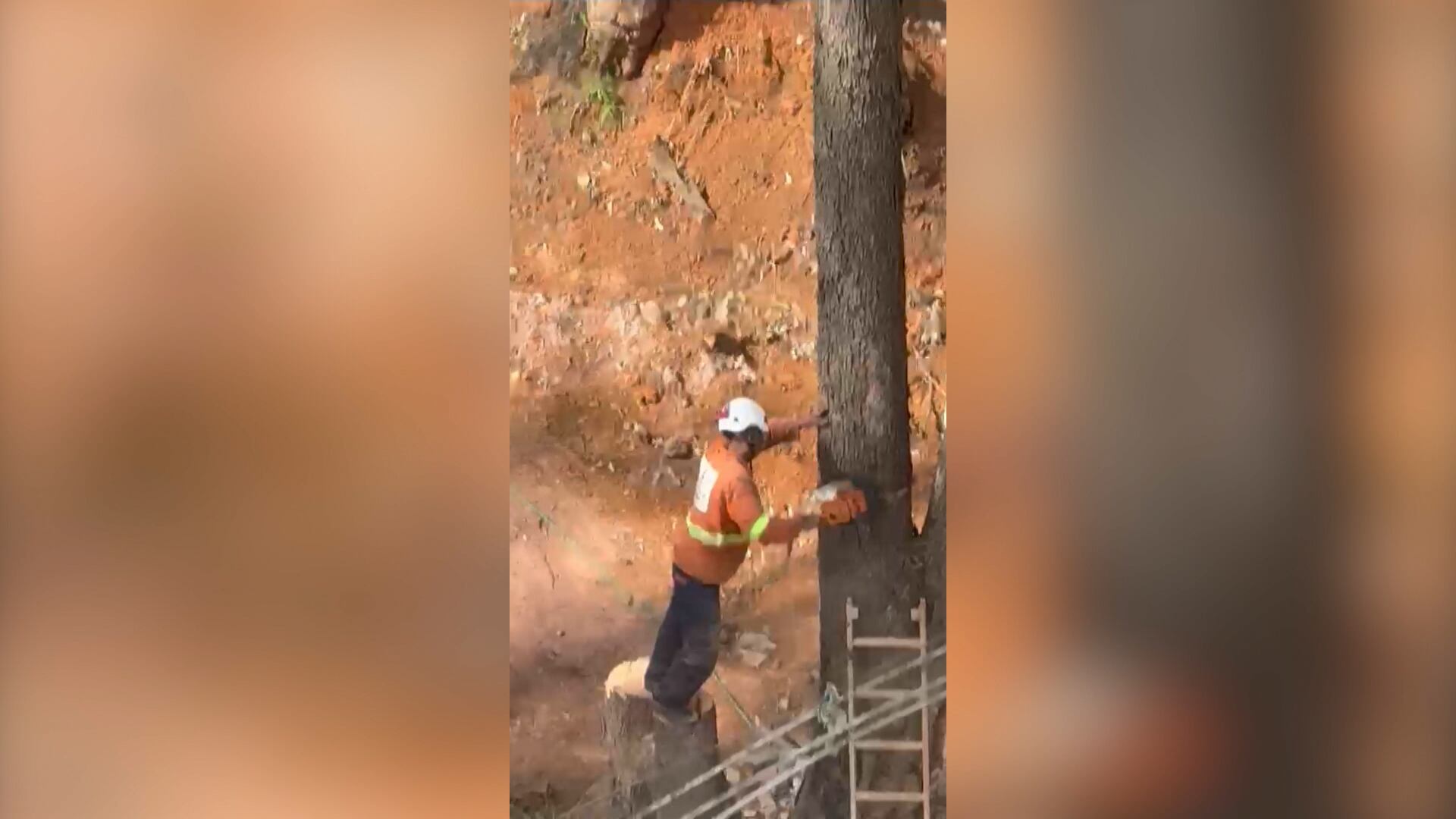 Poda de árvore provoca queda de energia em prédio