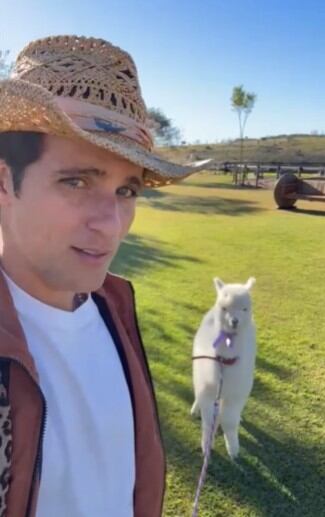 Bruno Gagliasso presenteia filho com mini alpaca em aniversário