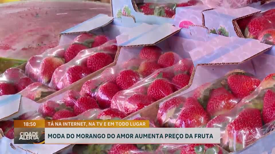 Alta na procura pelo 'morango do amor' aumenta o preço da fruta no Brasil