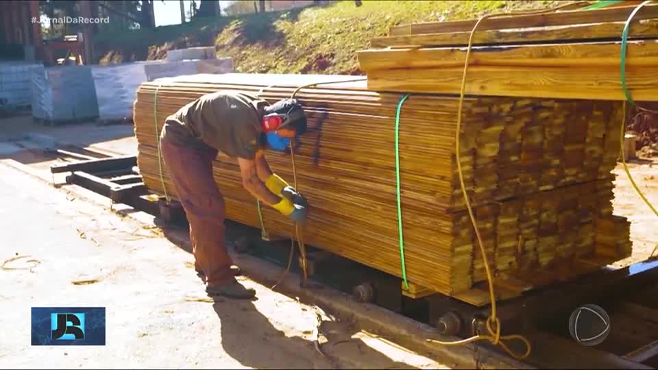 Anúncio da taxação de produtos brasileiros em 50% já causa impactos no setor madeireiro do Paraná