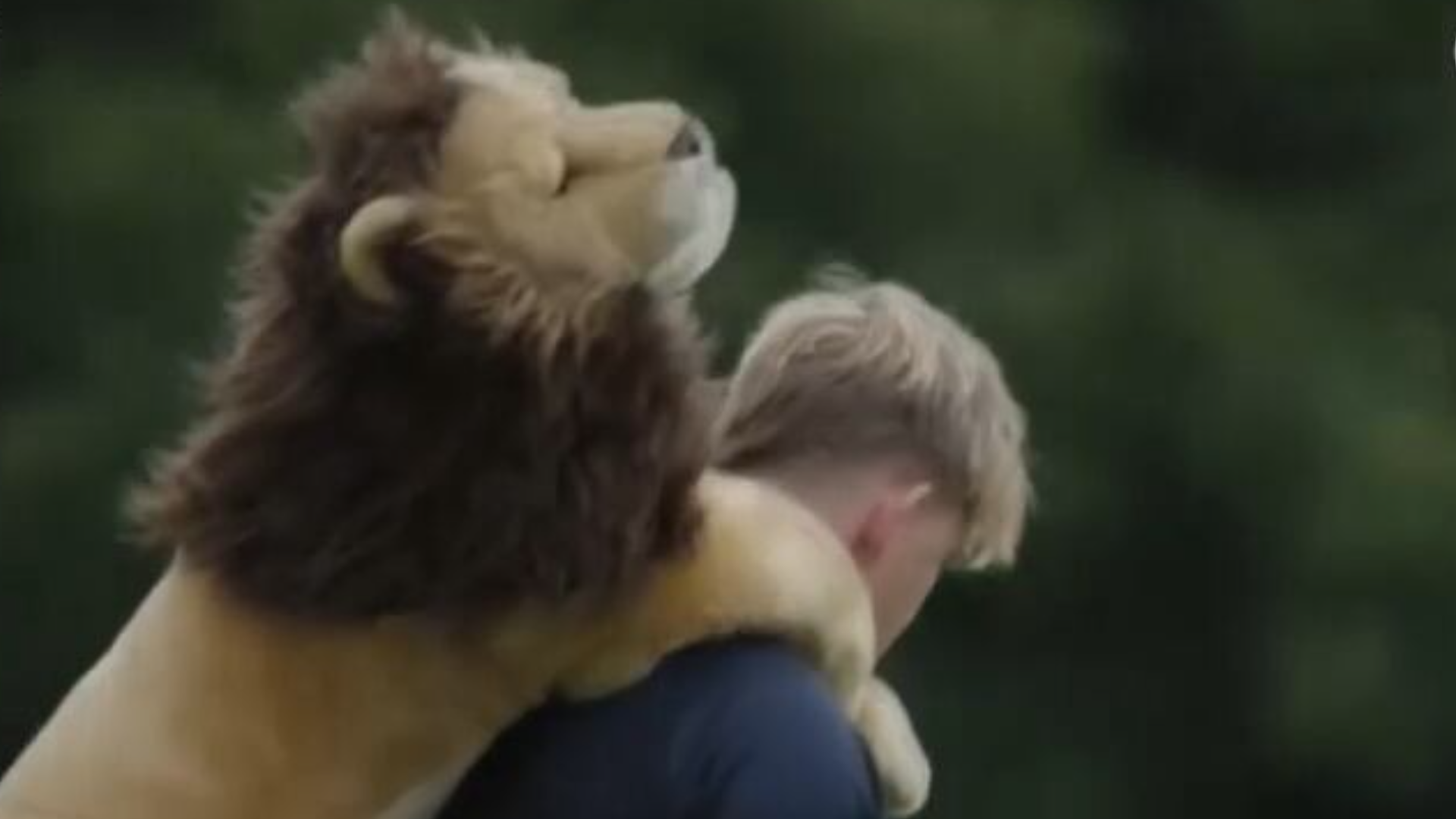 Jogador de rugby vira 'babá' de leão de pelúcia em tradição de equipe irlandesa