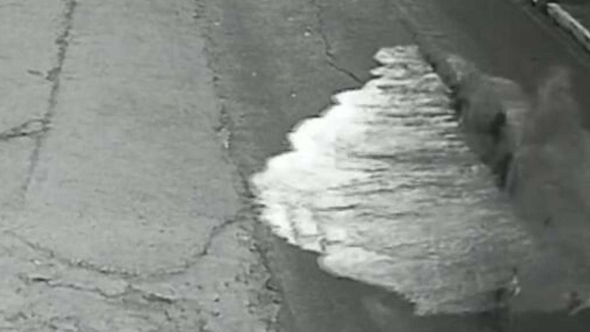 Vídeo mostra momento em que adutora se rompe e espalha água por rua na Grande BH