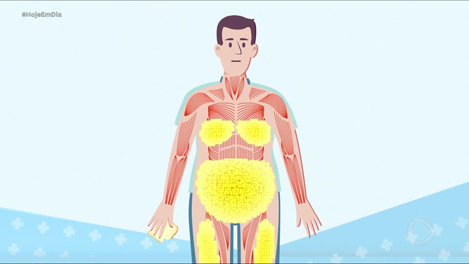 Você e o Doutor: Saiba como a gordura abdominal é formada no nosso corpo