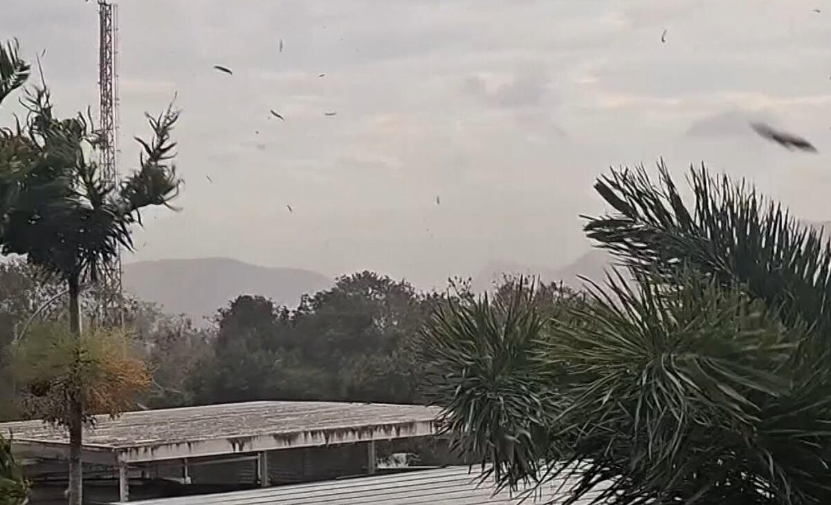 Duas pessoas morrem durante ventania em Santa Teresa, na região central do Rio