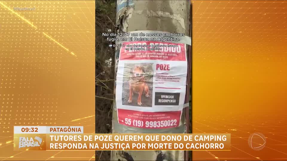 Cão Poze é morto por cães em camping na Patagônia Argentina