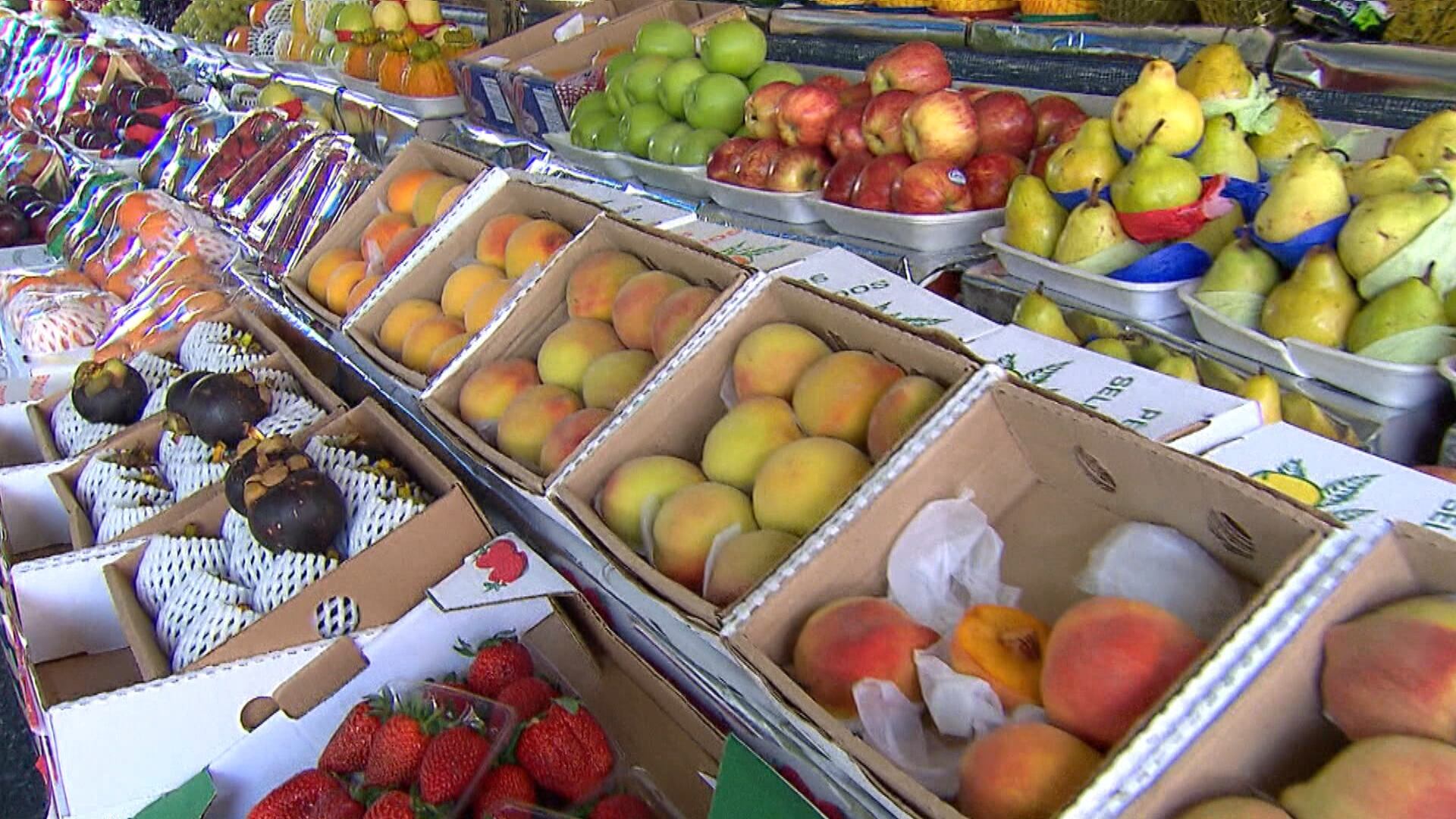 Comercialização de frutas e hortaliças chega a 16,6 milhões de toneladas em 2025