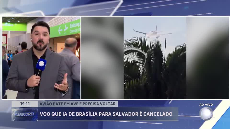 Avião retorna a Brasília após colisão com ave durante voo para Salvador