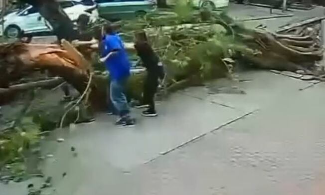 'É um milagre', diz homem que quase foi atingido por árvore que caiu durante vendaval no Rio