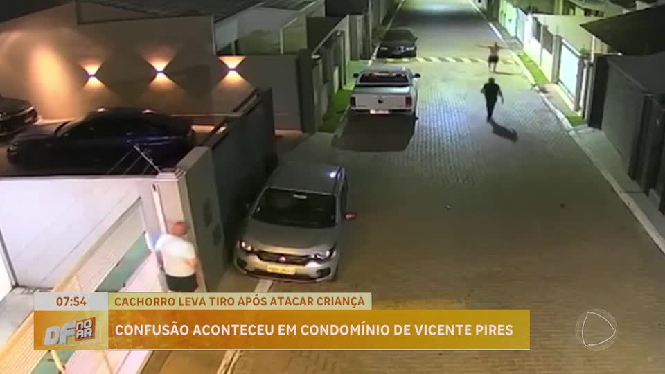 Criança de 10 anos é atacada por cão e pai reage com disparo; caso está sob investigação