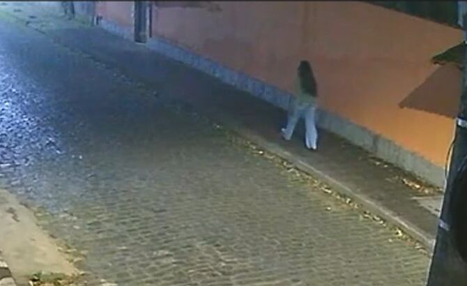 'Mulher-gato' invade casas à noite e rouba objetos de imóveis em Teresópolis (RJ)