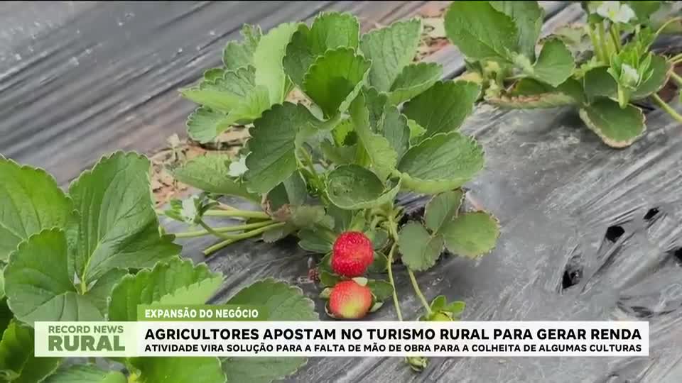 Agricultores apostam no turismo rural para gerar renda