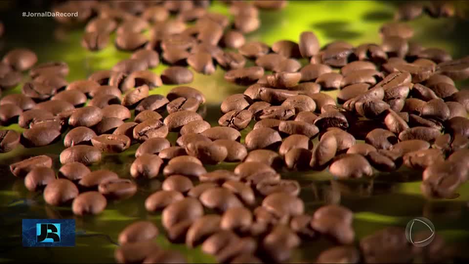 Produtores de café buscam alternativas para reverter impacto do tarifaço dos EUA