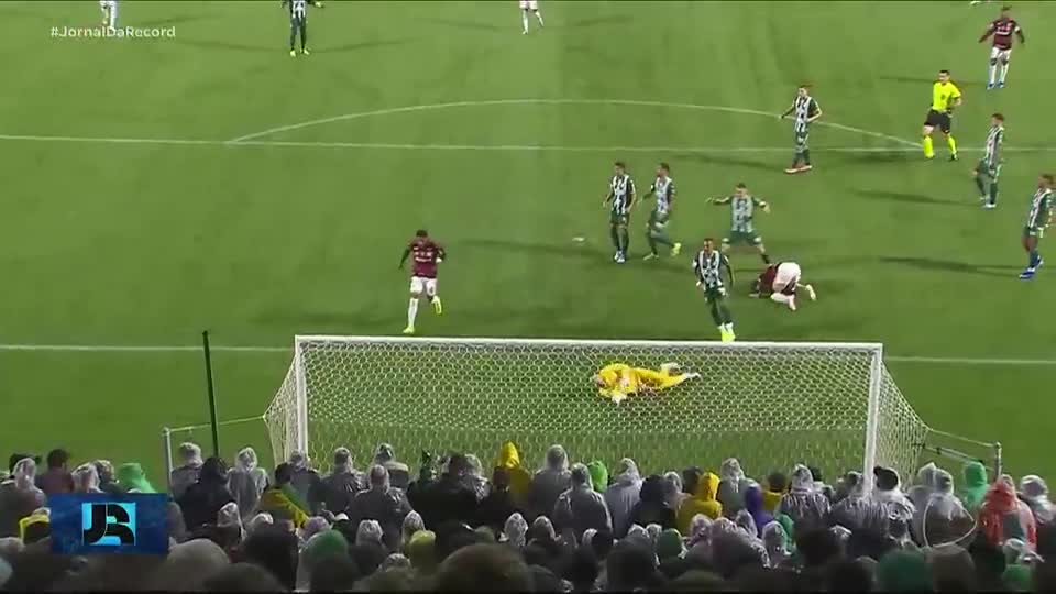 Líderes do Brasileirão, Palmeiras e Flamengo são favoritos para vencer o campeonato
