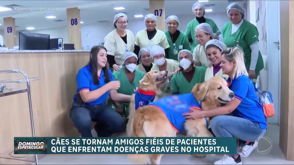Cães terapeutas ajudam pacientes a enfrentar doenças e encontrar forças durante tratamentos