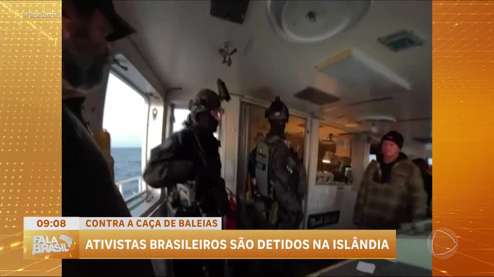 Brasileiros são detidos na Islândia durante protesto contra caça de baleias