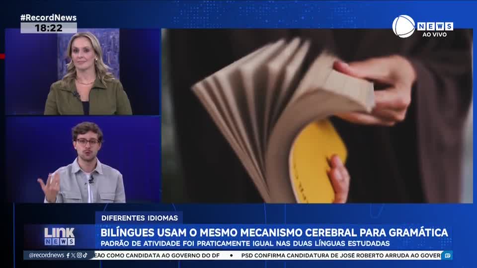 Bilíngues usam o mesmo mecanismo cerebral para gramática