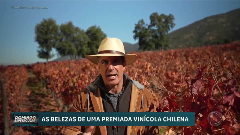 50 por 1: Alvaro Garnero descobre fazenda dedicada à produção de vinho no Chile