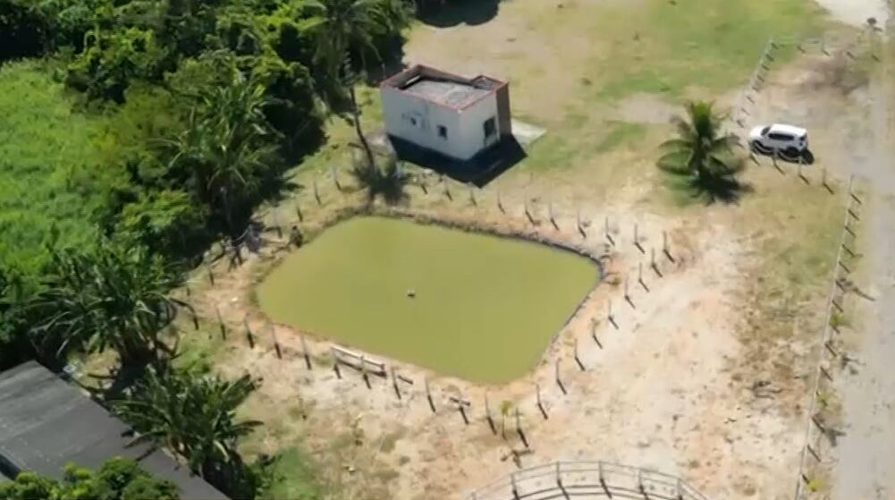 Polícia e MP investigam construção de lago artificial em área de preservação em Japeri (RJ)