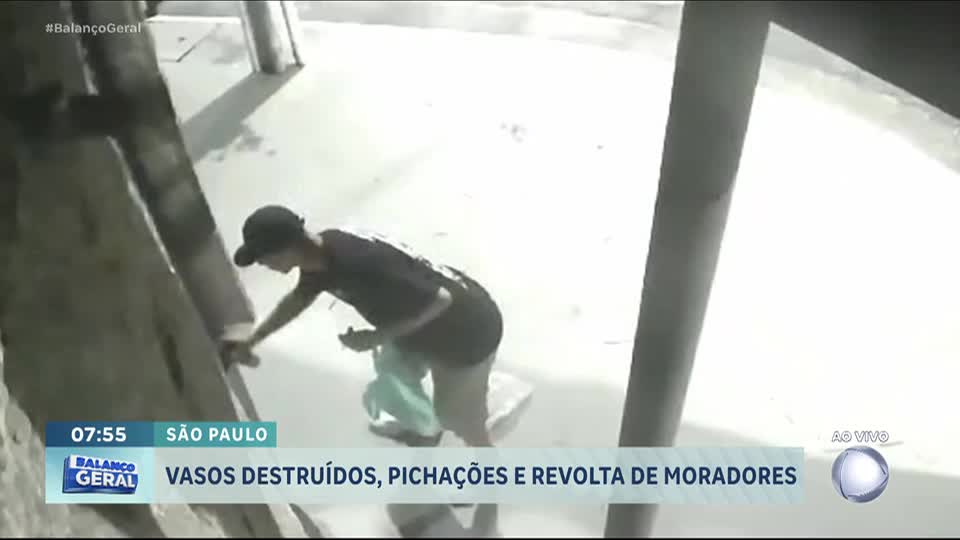 Vandalismo no Belenzinho: homem é flagrado depredando vasos e pichando muros