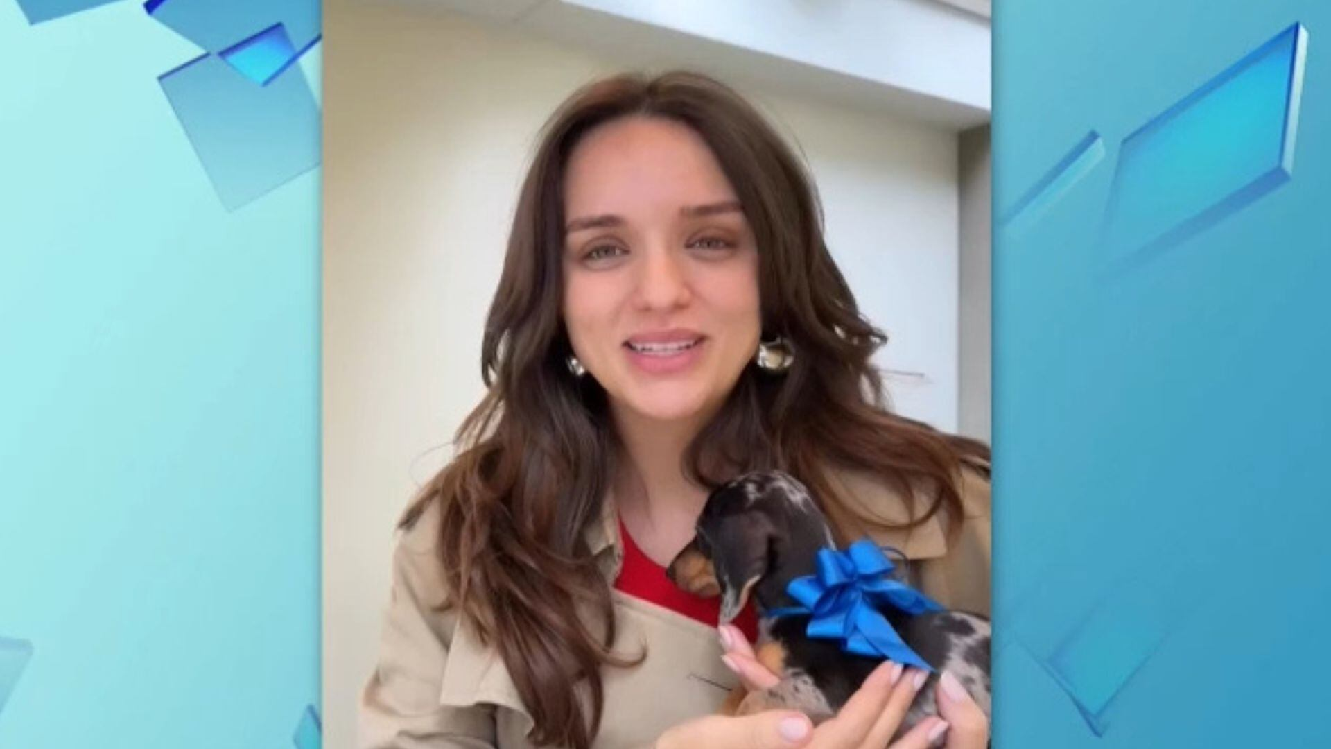 Rafa Kalimann é criticada após comprar cachorro de presente para Nattanzinho