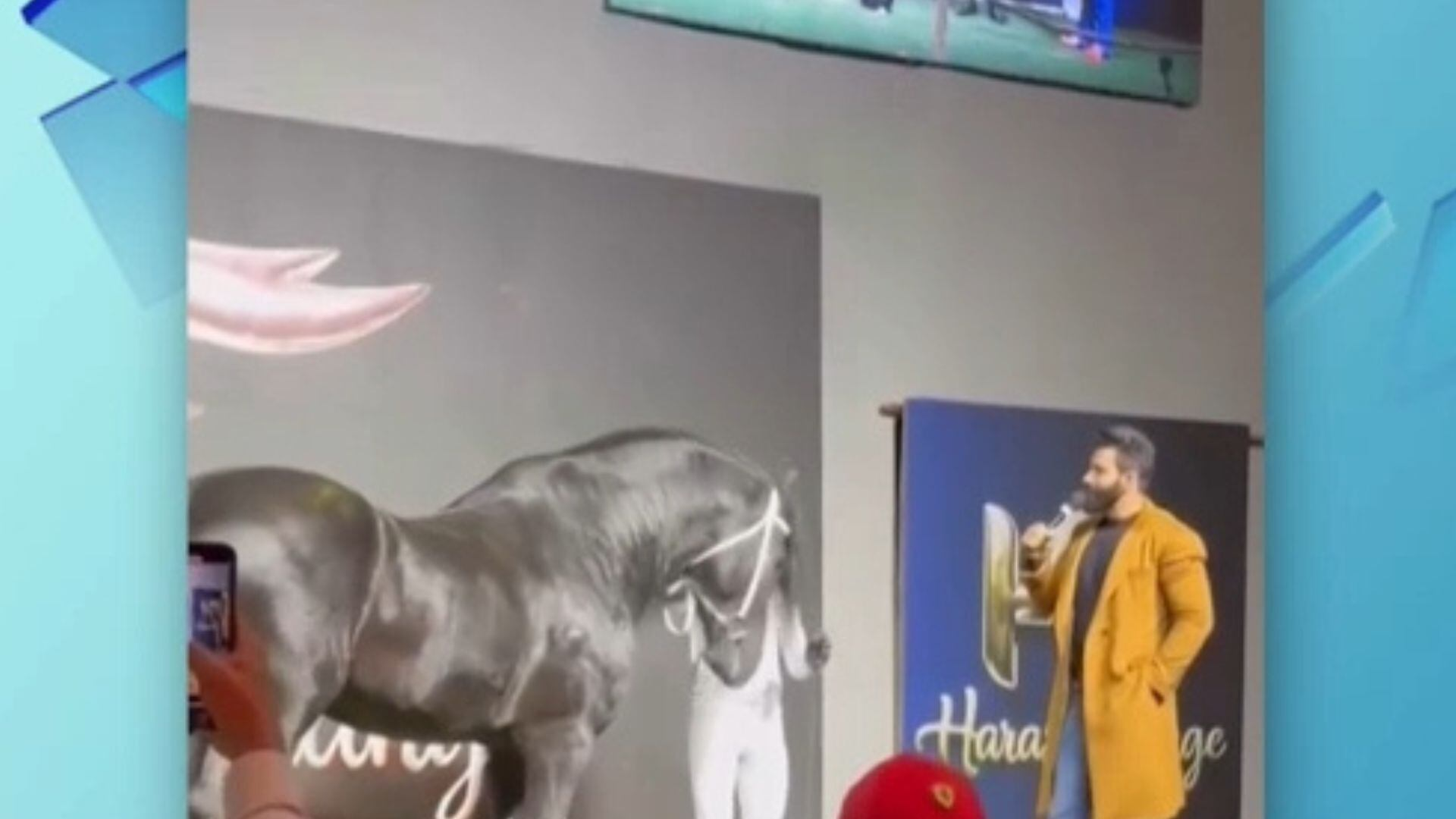Gusttavo Lima faz leilão para cavalo de raça que vale R$ 10 milhões