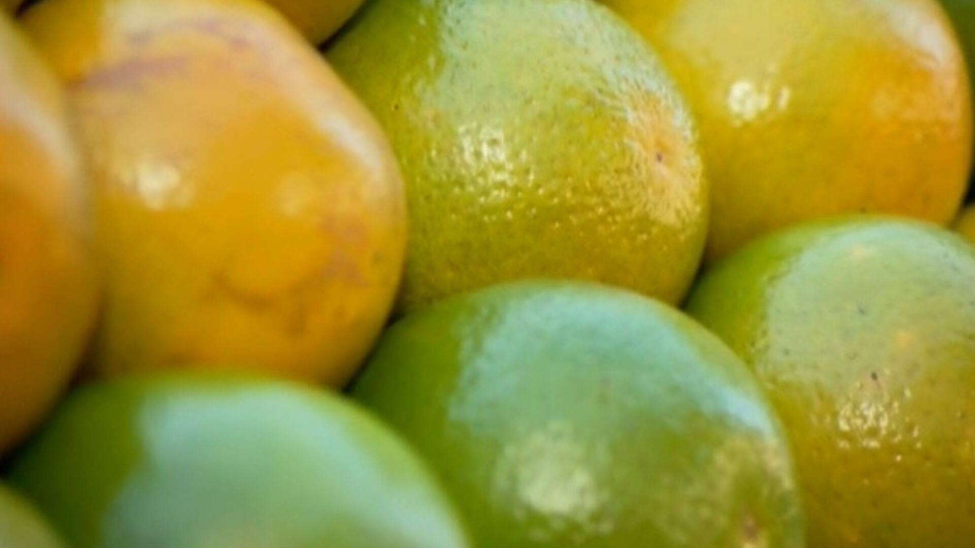 Entenda por que os EUA retiraram as tarifas do suco de laranja brasileiro