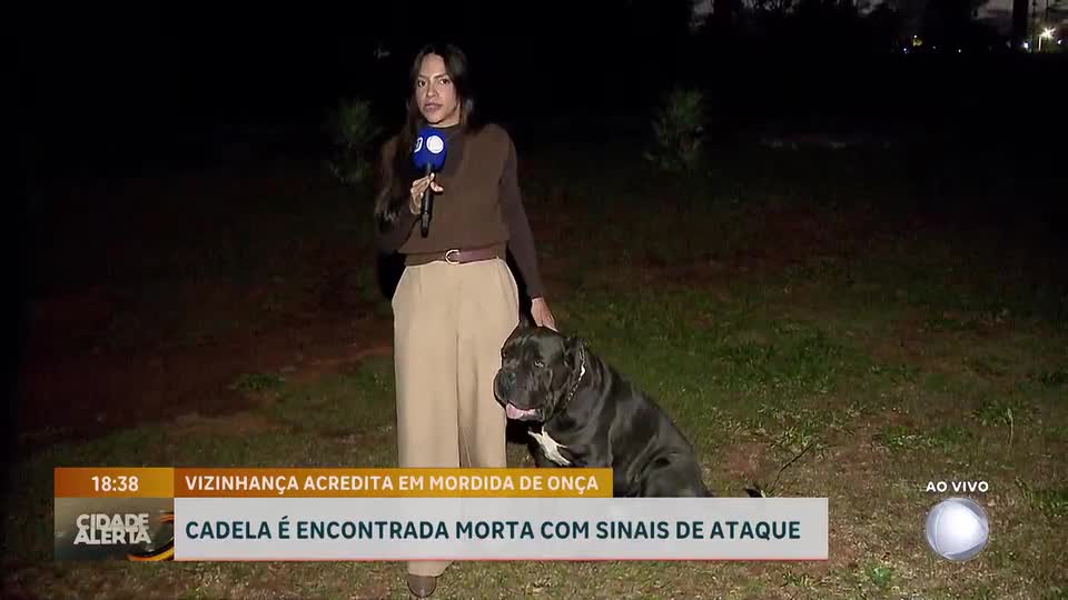 Cadela encontrada morta no Park Way (DF) gera suspeitas de ataque de onça